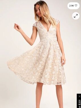Jacqueline Champagne Floral Embroidered Backless Midi Dress